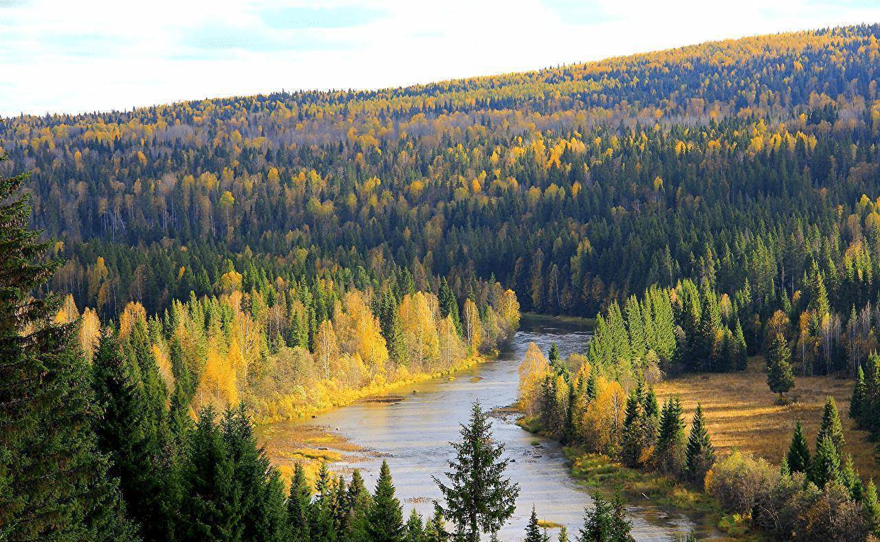 林材蓄積量807億立方米.俄資源總儲(chǔ)量的80%分布在亞洲.