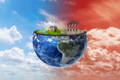 成為純素者的20個重要原因!