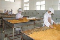 精選肉松批發(fā) 黃金松、原味、辣味、雞肉松一站式供應(yīng)，量大優(yōu)惠包郵