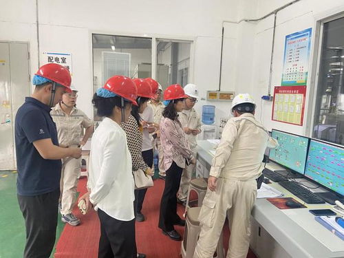 四川省市場(chǎng)監(jiān)管局深入廣元市開(kāi)展食品生產(chǎn)企業(yè)體系建設(shè)專項(xiàng)檢查，筑牢食品安全防線